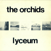 It's Only Obvious by The Orchids