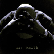 Mr. Smith by Ll Cool J