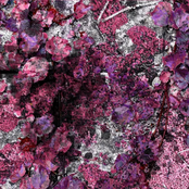 HomeSeq (Inner Version)