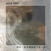 明年，再来樱桃树下坐一坐