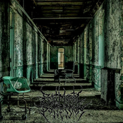 Labyrinth Within Lunacy