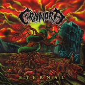 Thrash Of The Titans by Carnivora