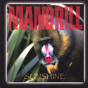 Solid by Mandrill
