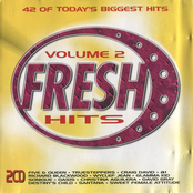 Fresh Hits Volume 2