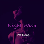 Night Wish