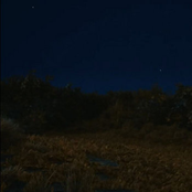 night sky transmissions