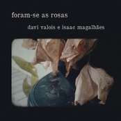 Foram-Se As Rosas