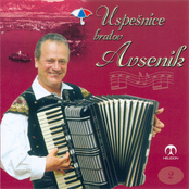 Uspešnice bratov Avsenik 2