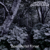 Bewitchered Forest