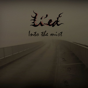 Into The Mist