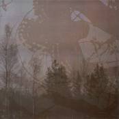 Inmitten des Waldes / Mortualia (Split)