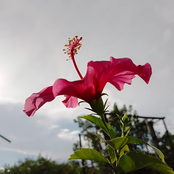 Sueños Lúcidos (Oh-oh)