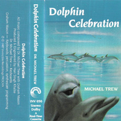 Dolphin Celebration