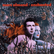 The Desperate Hours by Marc Almond