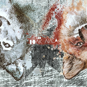 Вверх Ногами Мир