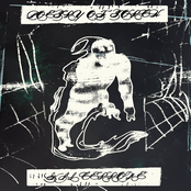 Poetry of Torch / Gil Cerrone Split