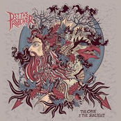 The Cave & The Sunlight