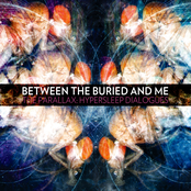 Augment Of Rebirth by Between The Buried And Me