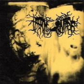 Uteromoniasis / Melting Flesh due To Extensive Emetophilic Abuse