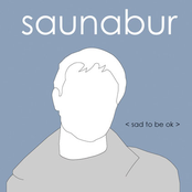 Saunabur