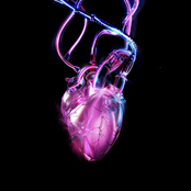 Don't Break My Heart