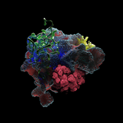 Dixon: Dixon & Âme Present Limbo