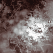 Don’t Know, Just Walk