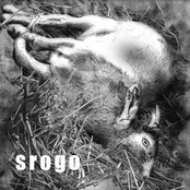SROGO
