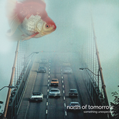 Something Unexpected