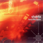Feed The Flame by Shakta