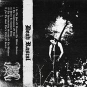 Demo I