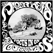 Focus In On...The Looking Glass