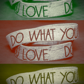 Do What You Love - Single