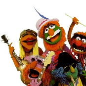 dr. teeth and the electric mayhem