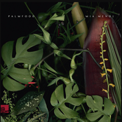 PALMFooD / Mia Mendi