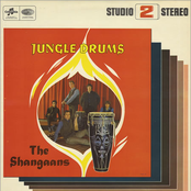 Jungle Drums