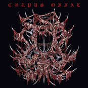 Corpus Offal: Demo 2024 - Single