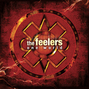 Warrior by The Feelers