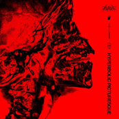 Hyperbolic Picturesque