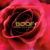 A Soft Kiss By A Rose