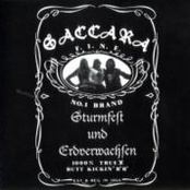 Sturmfest und Erdverwachsen