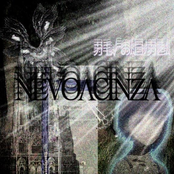 nevoacinza speedtapes