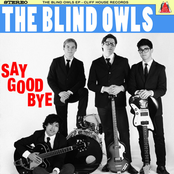 The Blind Owls: The Blind Owls Say Goodbye