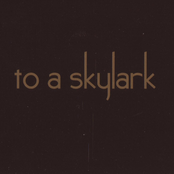 To A Skylark