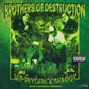 Brothers of Destruction