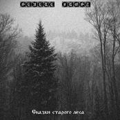 Сказки старого леса