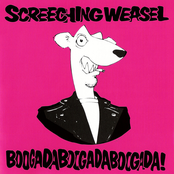 More Problems by Screeching Weasel