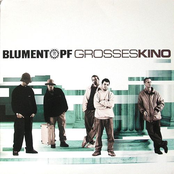 Von Disco Zu Disco by Blumentopf