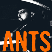 Codefendants: Crime Wave