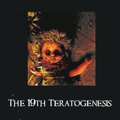 The 19th Teratogenesis